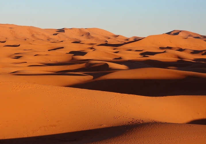 LUZ DEL DESIERTO 2025
